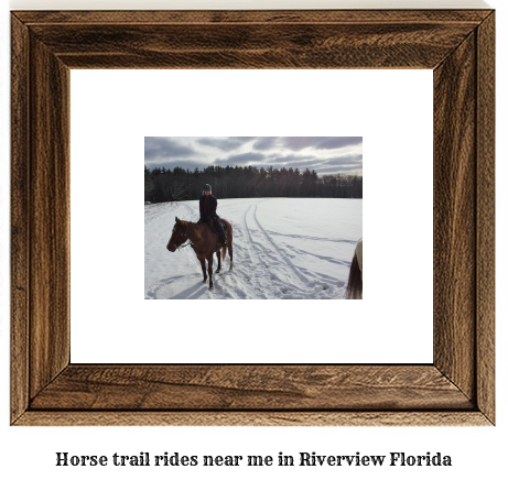 horse trail rides near me in Riverview, Florida